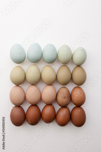Farm Fresh Eggs
