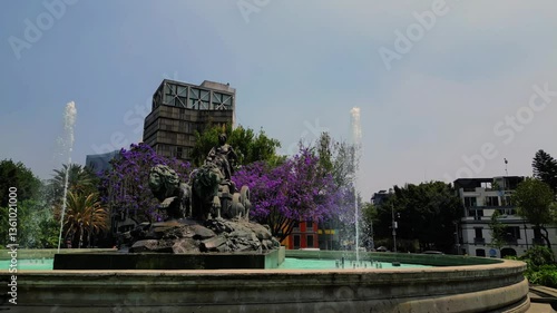 Glorieta de cibeles, vista de jacarandas de flor morada en ciudad de méxico, colonia roma norte, primavera