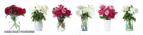 Bouquets of beautiful peony flowers in different vases isolated on white, set