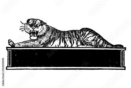 Roaring Tiger Sign Illustration in Vintage Timeless Style