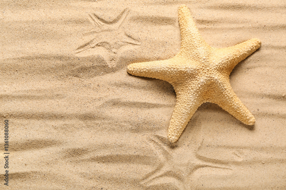 Beautiful starfish on sea sand Beautiful starfish on sea sand