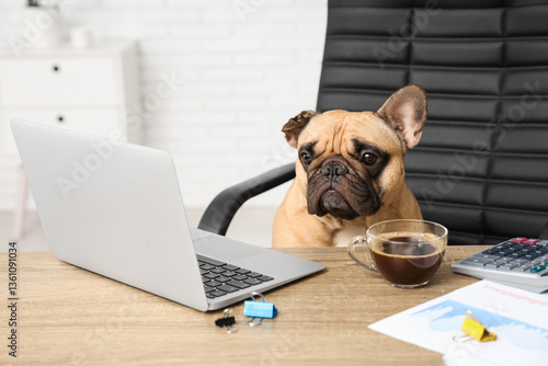 Funny French bulldog with l...