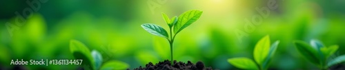 Close-up of genetically modified plant thriving in controlled environment under biotechnological care, biotechnology, plant, laboratory