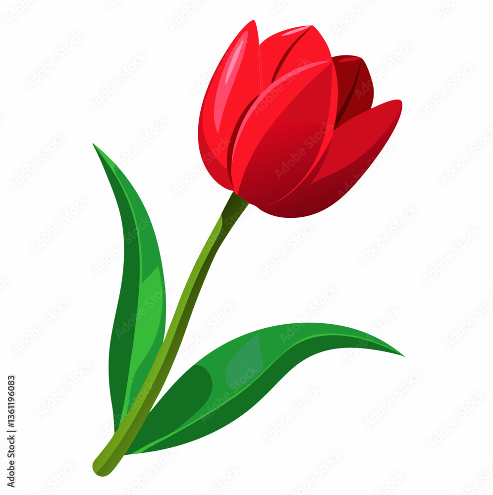 Fototapeta premium Vibrant Red Tulip Single Flower Illustration on White Background