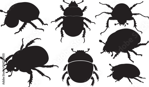 Dung Beetle Silhouette on White Background