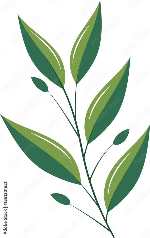 Fototapeta premium Nature Leaves