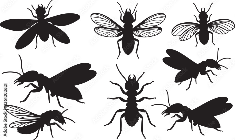 Termite Silhouette Termite Silhouette