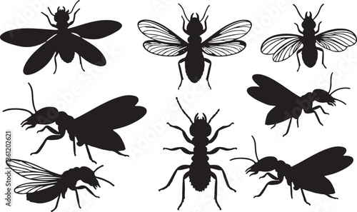 Termite Silhouette