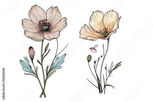 vector illustrated wildflowers, each with delicate petals and stems, varying in shape, size, and color, with no background