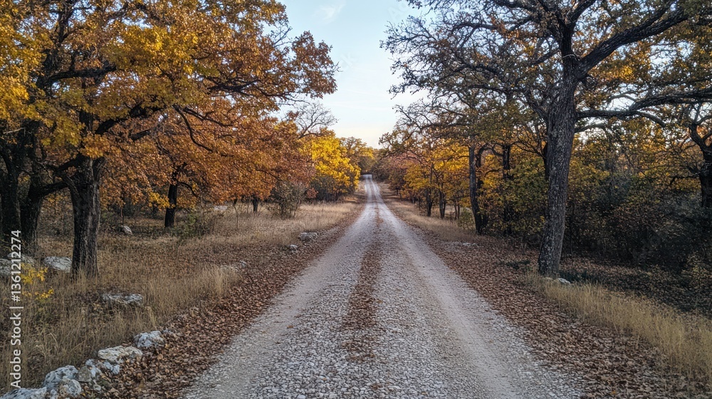 Obraz premium A quiet gravel road lined with oak trees, golden leaves falling in autumn --ar 16:9 --v 6.1 Job ID: 571f154d-714b-4274-ba0f-3a1154920b2a