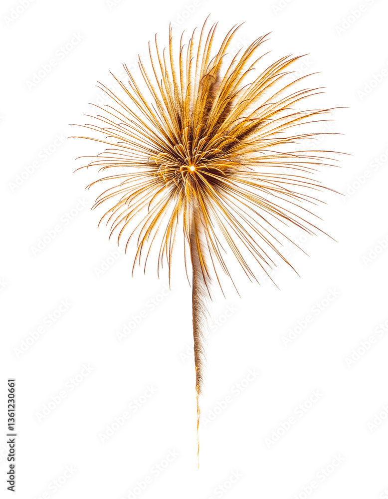 Fototapeta premium Golden Fireworks Burst