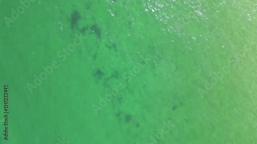 Fort Lauderdale aerial shot, shot of the river near the beach, River near Fort Lauderdale beach
