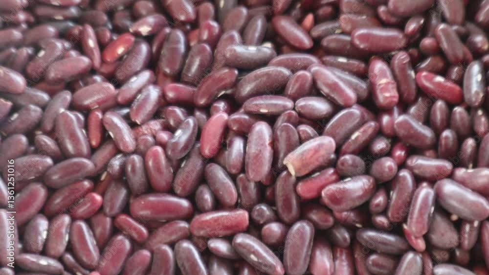Raw Rajma (kidney beans) scattered or stored, showcasing their natural reddish-brown color and texture. Uncooked legumes used in traditional Indian cooking Raw Rajma (kidney beans) scattered or stored, showcasing their natural reddish-brown color and texture. Uncooked legumes used in traditional Indian cooking