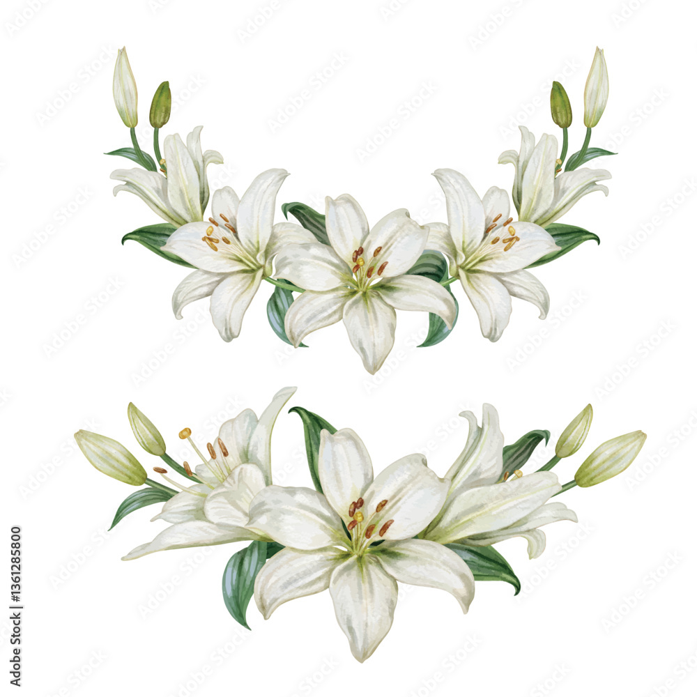 Vector wreath of White Lily flower hand draw watercolor. Vector wreath of White Lily flower hand draw watercolor.