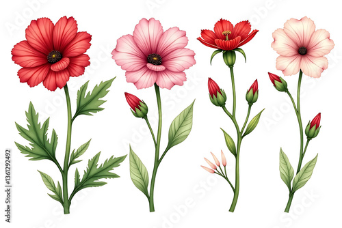 Watercolor flower element set isolated