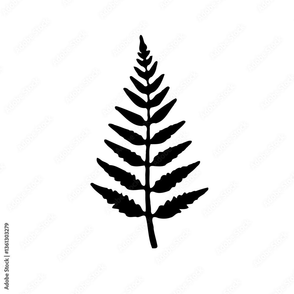Monochrome fern illustration on a clean background