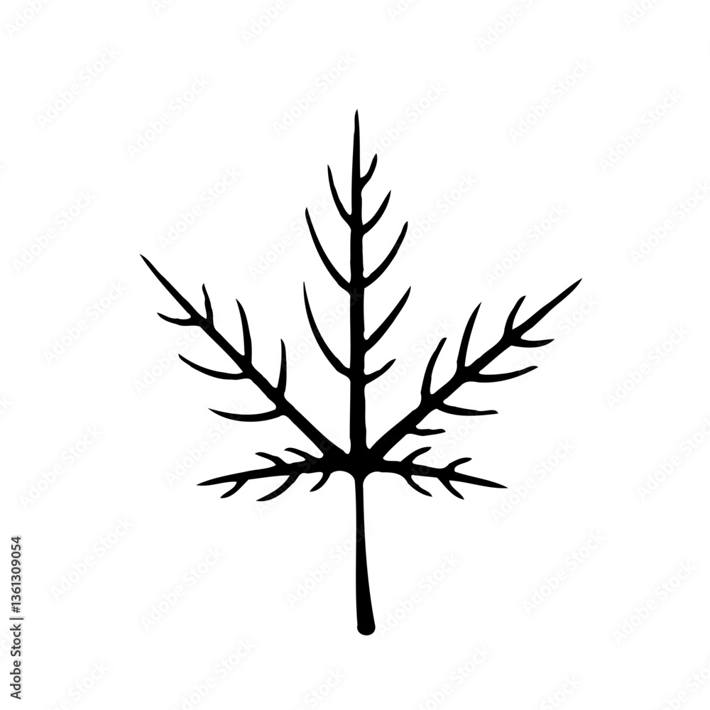 Fototapeta premium Delicate Silhouette: Botanical Illustration of Leaf