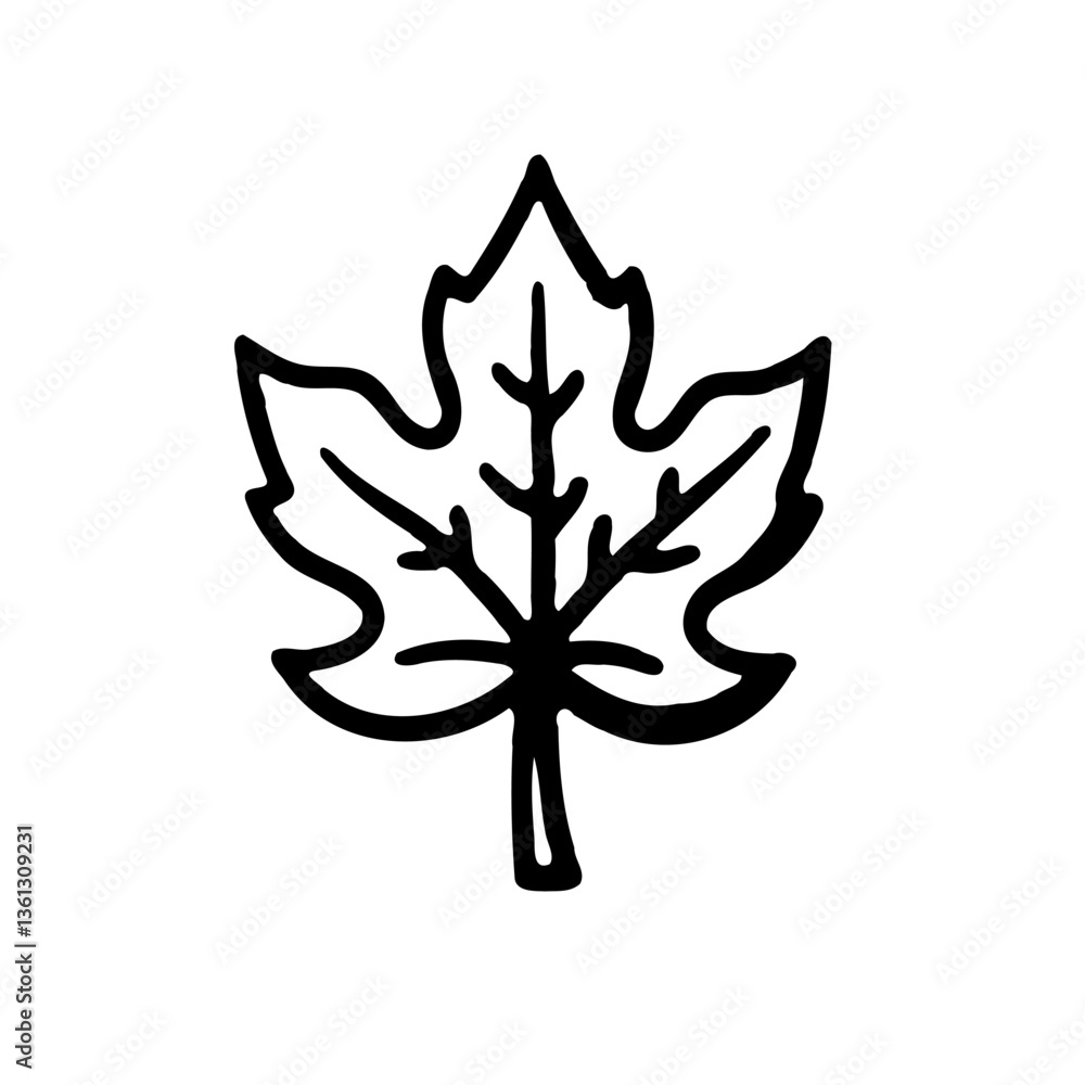 Simple Hand Drawn Maple Leaf Vector Illustration Simple Hand Drawn Maple Leaf Vector Illustration