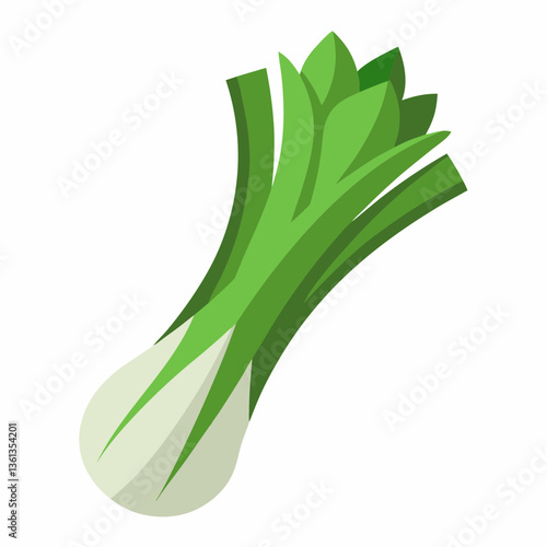 celery isolated on white background