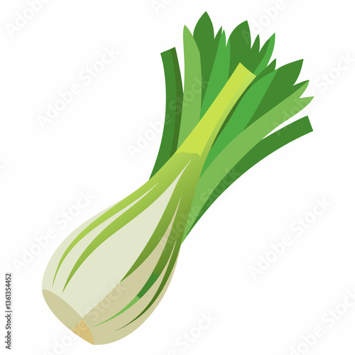 Leek vegetable isolated vector