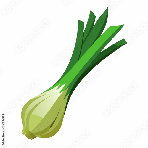 Leek vegetable isolated vector