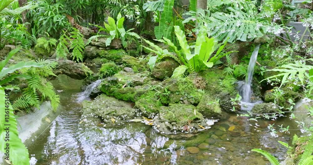 Explore a serene tropical landscape featuring flowing water and vibrant greenery. Explore a serene tropical landscape featuring flowing water and vibrant greenery.