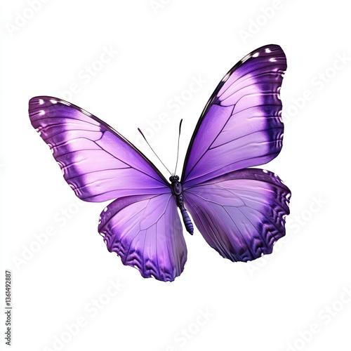Close-up of a Beautiful Purple Butterfly