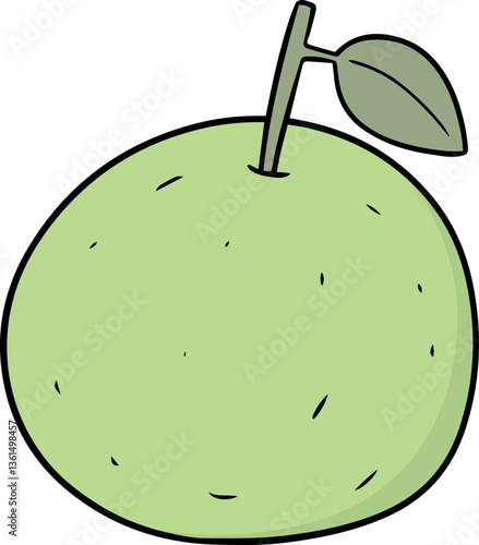 Illustration of guava
