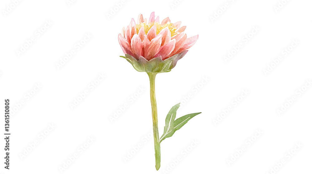 Fototapeta premium A single pink flower with a green stem