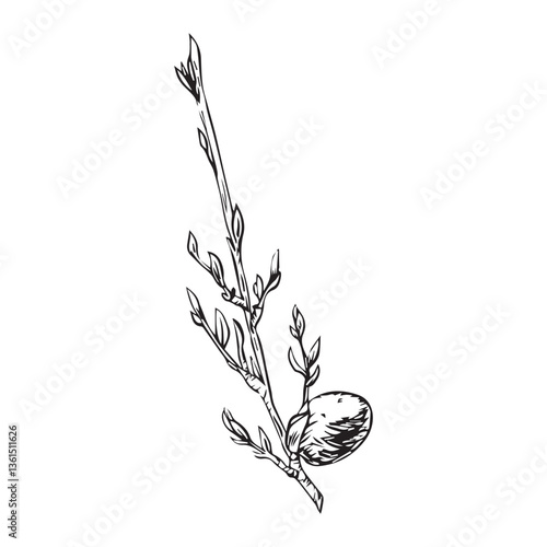 Willow branch with cats for Easter holiday. Vector illustration drawn by hand
