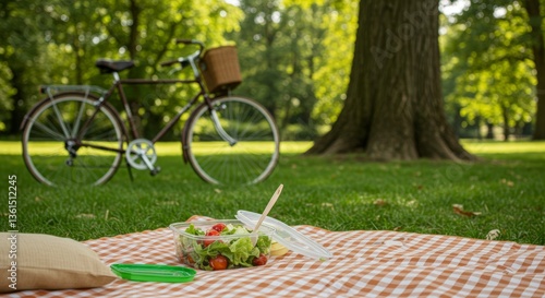 Enjoying a Healthy Picnic with Bicycle in the Park on Sunny Day