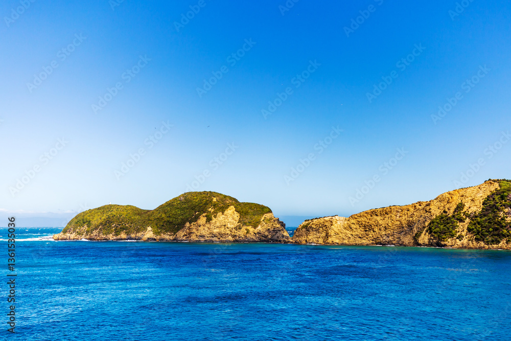 Naklejka premium Coastal Beauty Along Cook Strait