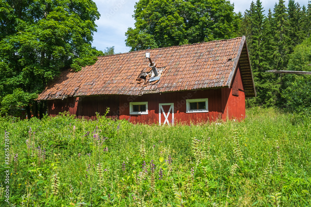 Old red barn on a flowering meadow Old red barn on a flowering meadow