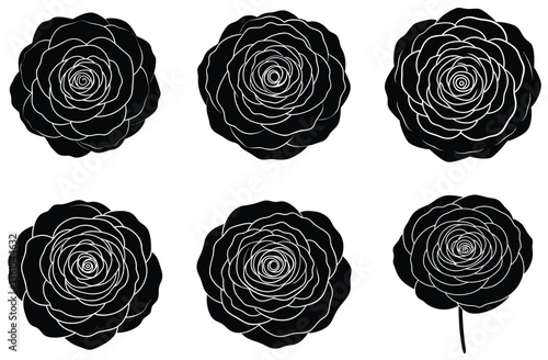 Floral Black Silhouettes on White Simple Rose, Blossom, Bloom, Isolated Elements