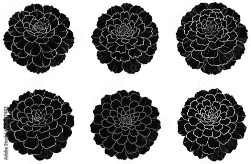 Six Black Floral Silhouettes, Outlines of Dense Flower Heads on White Background