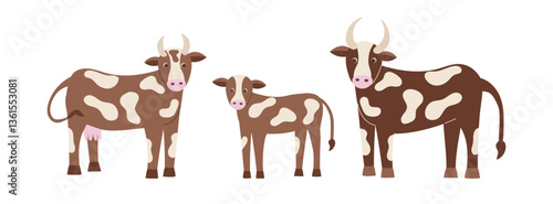 Cow, bull and calf cliparts isolated on white background. Farming concept, animals, livestock. Vector flat illustration of cow family.