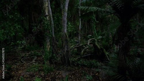 Wallpaper Mural A dense forest filled with vibrant greenery and towering trees creates a tranquil atmosphere during twilight. Shadows play among the foliage, highlighting the beauty of nature. Torontodigital.ca