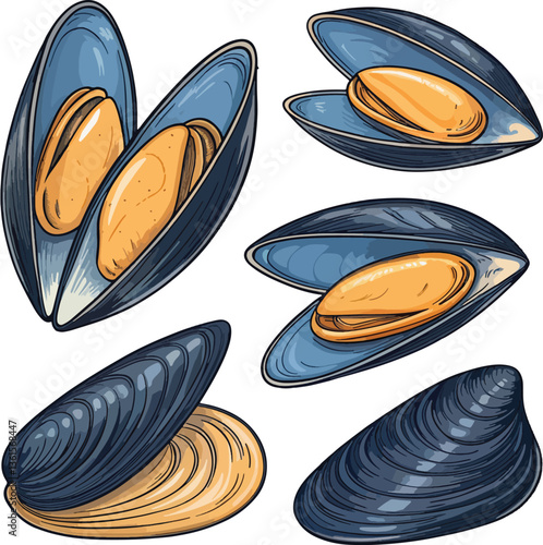 Mussels Seafood Vector Set Illustration for Culinary Design