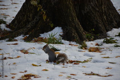 A trip to New York City is an unforgettable experience