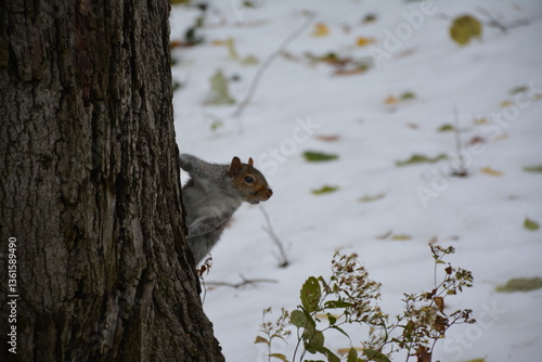 A trip to New York City is an unforgettable experience