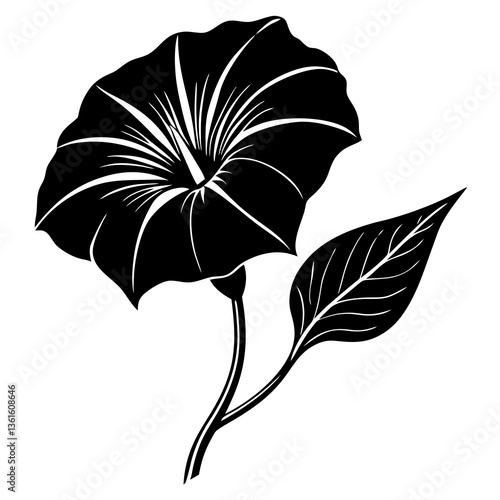 A detailed morning glory flower vector for elegant and vibrant graphic design projects.