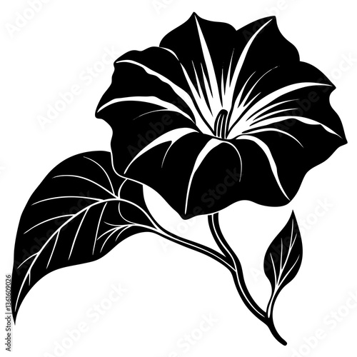 A detailed morning glory flower vector for elegant and vibrant graphic design projects.