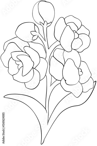 Coloring page Hoary Stock flowers Edible Flowers