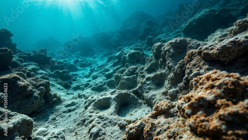 Excavation of fossils, Underwater view of rocky seabed with fossilized remains