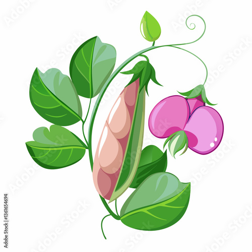 Sweet Pea Flower Vector – Elegant and Detailed Floral Design for Graphics & Illustrations