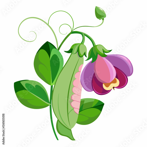 Sweet Pea Flower Vector – Elegant and Detailed Floral Design for Graphics & Illustrations