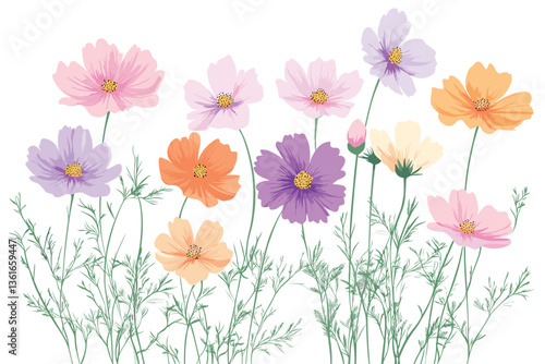 Set of cosmos flower vector illustrations with a white background, in pastel colors of pink, purple, orange, and light green. Flat design, detailed concept art, high-resolution photography, and high-q