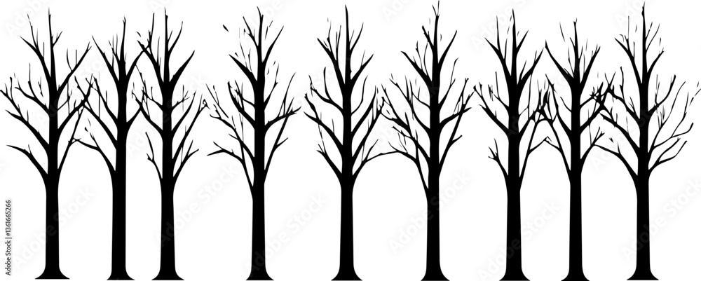 Silhouette of Leafless Trees in a Row Silhouette of Leafless Trees in a Row