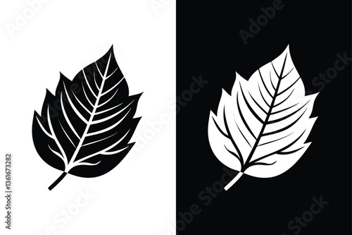 Aspen, Elm, and Alder Leaf Silhouette. High-Quality Vector Icon