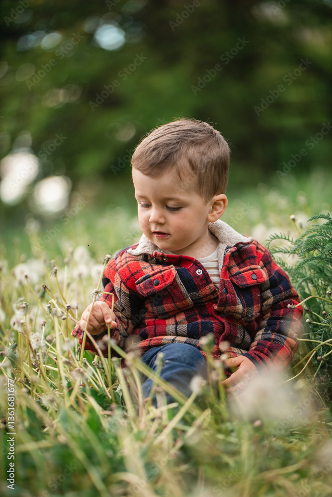 Cute little boy playing with dandelions, blowing on the fluff of sessen. Allergy to flowering, remission. Learning about the world. Spring has come. Nice weather Cute little boy playing with dandelions, blowing on the fluff of sessen. Allergy to flowering, remission. Learning about the world. Spring has come. Nice weather